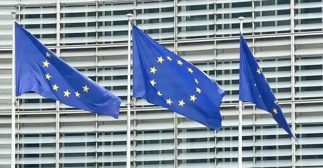 风云突变青鸡现